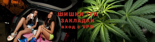 дживик Инта