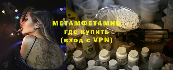 дживик Инта