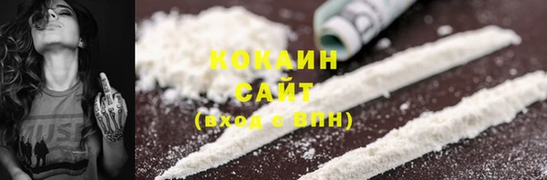 дживик Инта