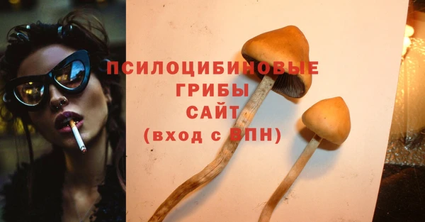 амф Инсар