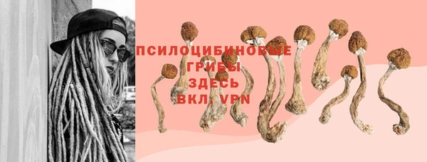 бошки Медвежьегорск