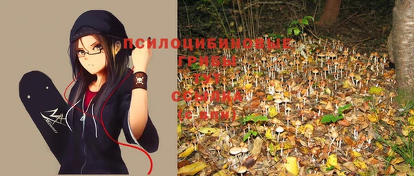 дмт Покров