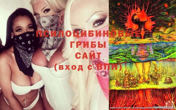 дмт Покров