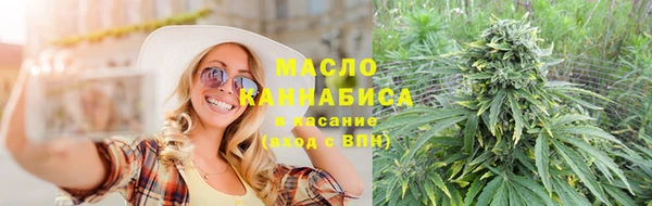 дживик Инта