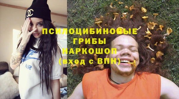 дживик Инта