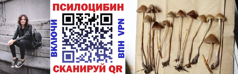 Псилоцибиновые грибы мицелий  OMG   Поворино  что такое  